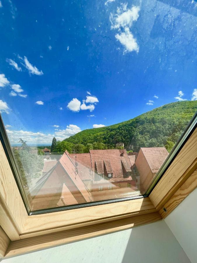 Choupette De La Vallee Avec Garage Kaysersberg-Vignoble Dış mekan fotoğraf