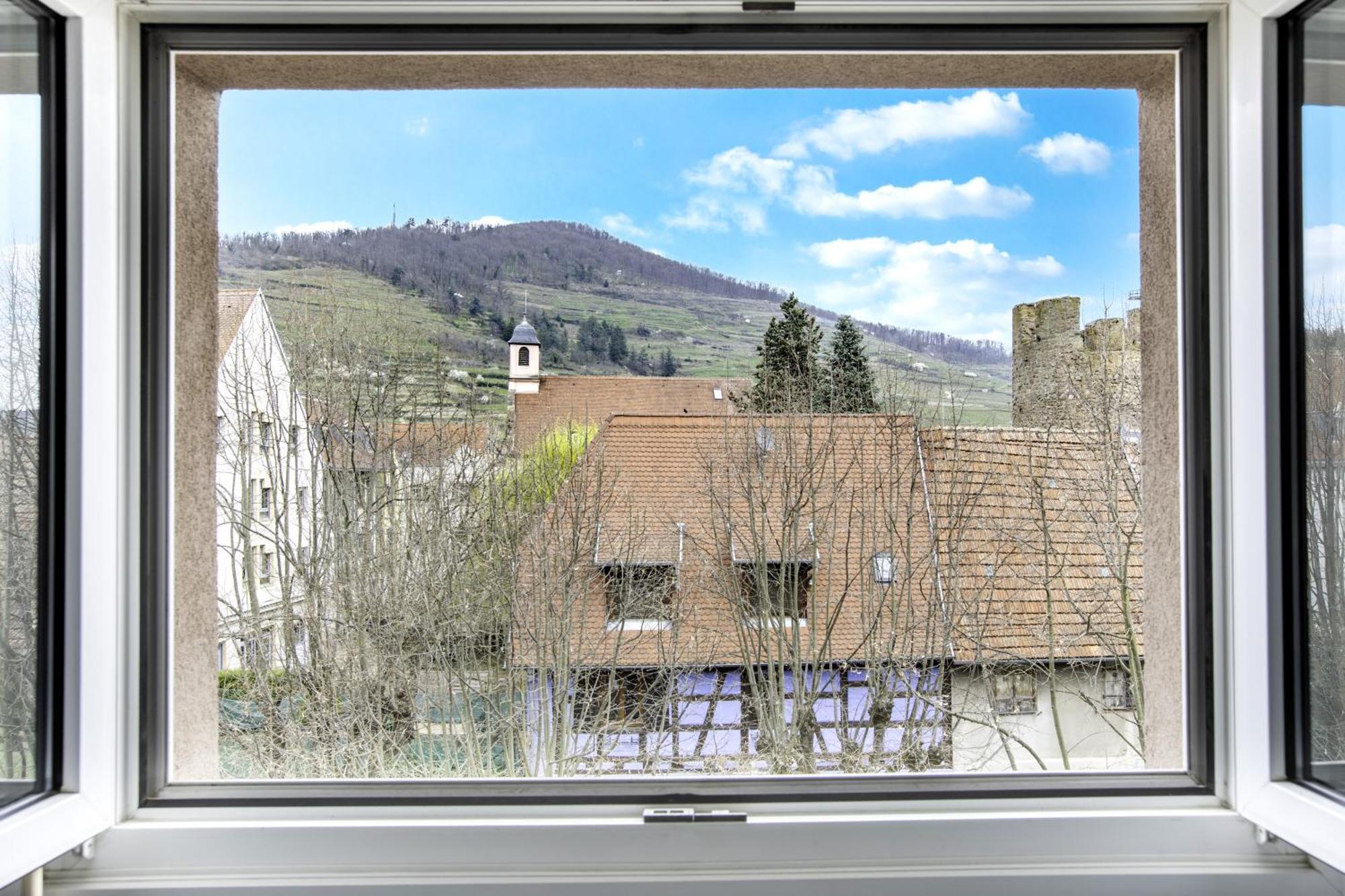 Choupette De La Vallee Avec Garage Kaysersberg-Vignoble Dış mekan fotoğraf